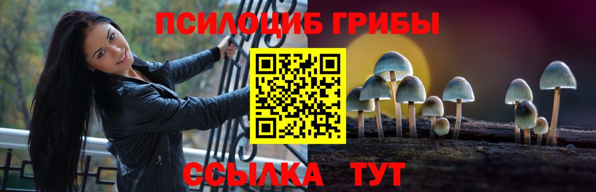 Похвистнево  дарнет шоп  Вход с VPN  Псилоцибиновые грибы мухоморы 