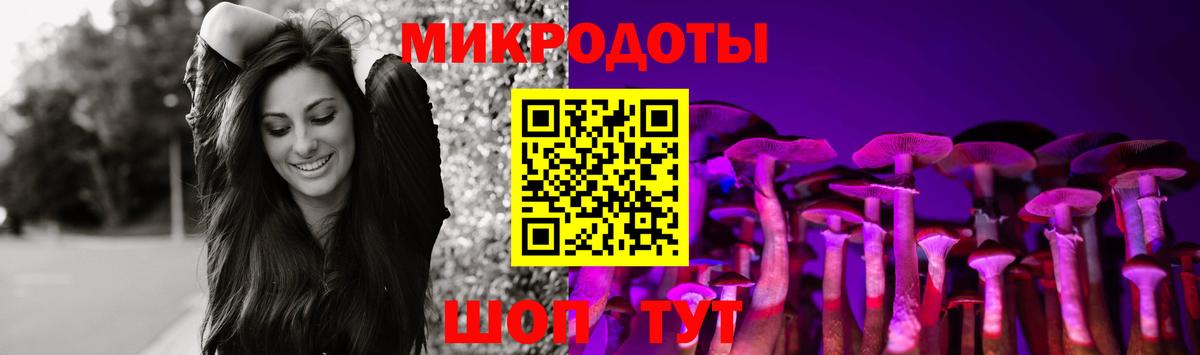 Галлюциногенные грибы Psilocybe Похвистнево
